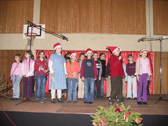 Foto:    Werner Tautges, Schnecken