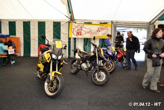 Foto:    Werner Tautges, Schnecken