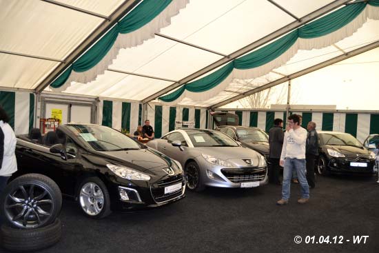 Foto:    Werner Tautges, Schnecken